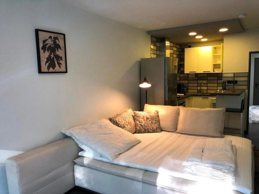 möbilierte 1 Zimmer Wohnung in Gerbrunn, ab April 2025