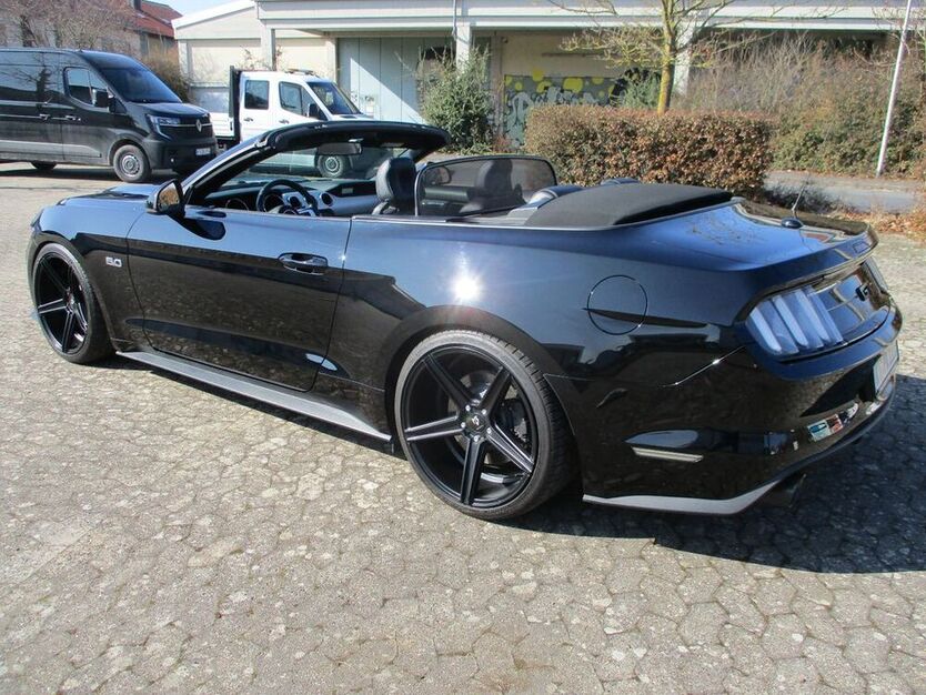 Mustang