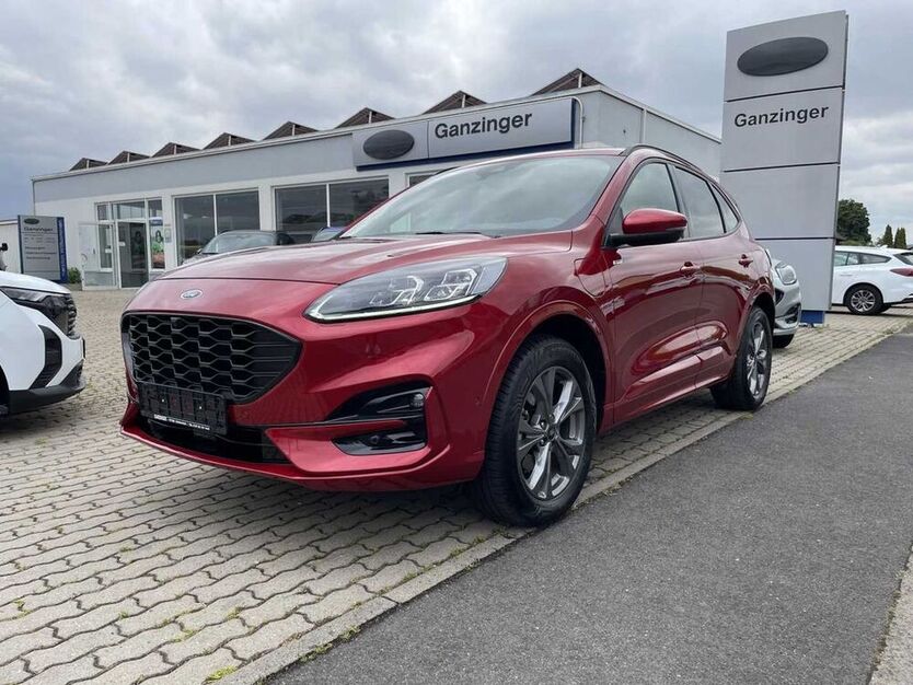 Kuga
