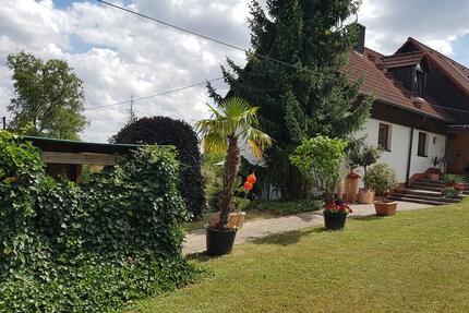 Schöne 1,5 Zimmer Wohnung in Würzburg, Steinbachtal, ruhige Lage zimmer