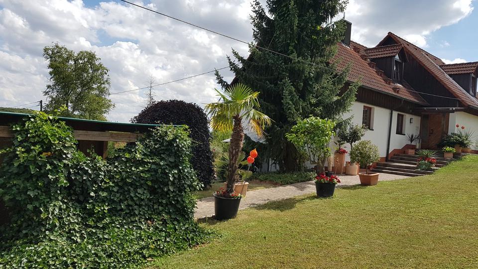 Schöne 1,5 Zimmer Wohnung in Würzburg, Steinbachtal, ruhige Lage zimmer