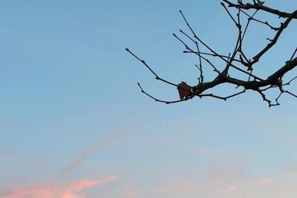 Wohnung Würzburg Frauenland - 2 Zimmer, 55 m&sup2;, 770&euro; | Angebot:25232293