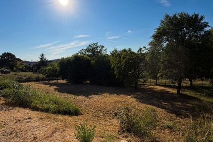 Baugrundstück mit Weitblick in einer der schönsten Lagen von Höchberg - Grundstück Höchberg | Angebot:27117466