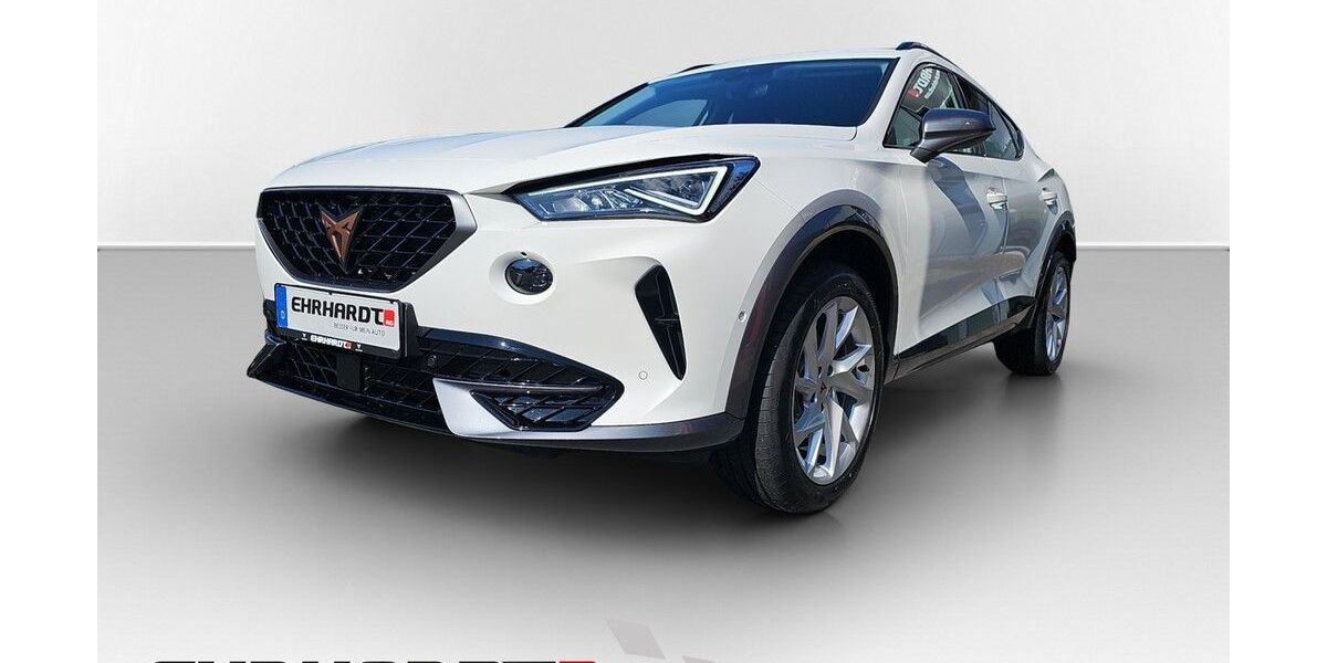 Cupra Formentor 26.030 km 26.250 € Zellingen 97225