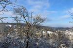 Baugrundstück unterhalb der Steinburg in Würzburg