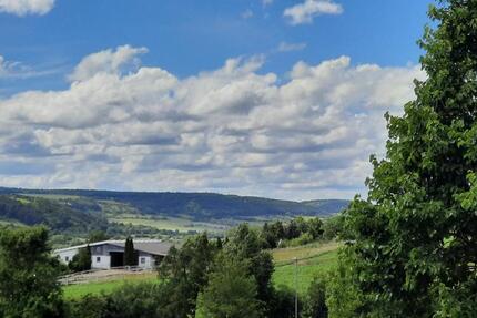 Wohnung Tauberbischofsheim - 2.5 Zimmer, 67 m&sup2;, 890&euro; | Angebot:26022438