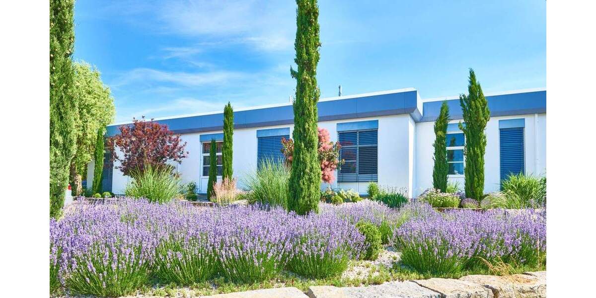 Gewerbeobjekt Veitshöchheim - 4 Zimmer, 3 m&sup2;, 2.700.000&euro; | Angebot:25728116