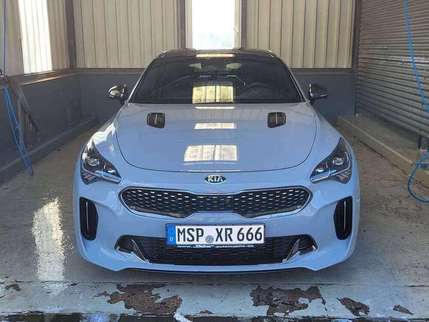 Stinger