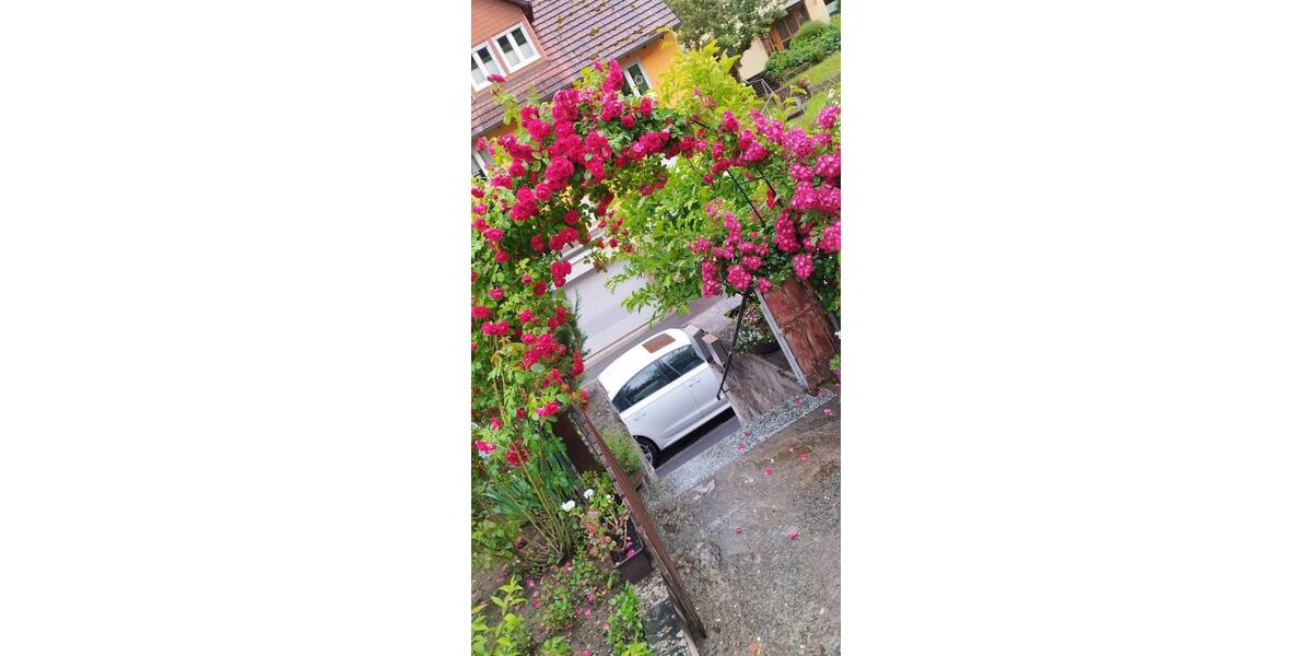 Dachgeschoßwohnung Karlstadt - 2.5 Zimmer, 70 m&sup2;, 800&euro; | Angebot:25124430