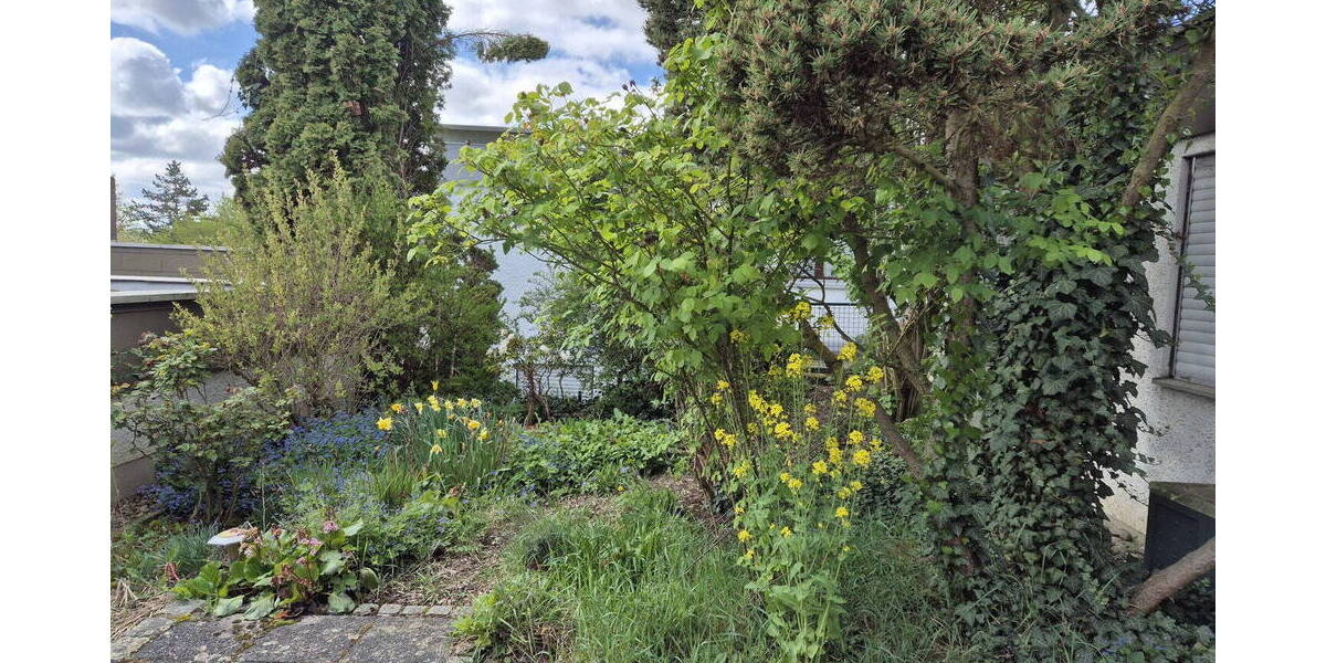 Bungalow Würzburg Lengfeld - 4 Zimmer, 119 m&sup2;, 459.000&euro; | Angebot:26244074