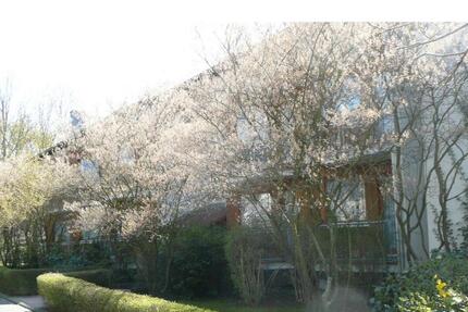 2 12 - Zimmer DG Wohnung Würzburg-Frauenland 2 zimmer