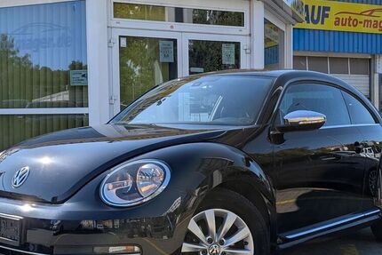 VW Beetle