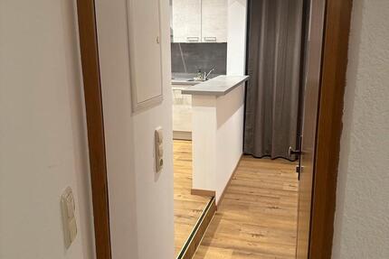 Großzügige frisch renovierte 1 Zimmerwohnung 1 zimmer