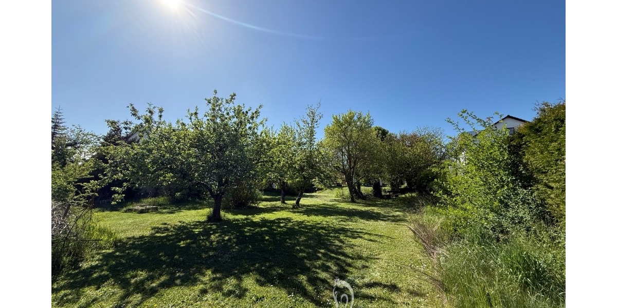 Sonniges Baugrundstück für Einfamilien-, oder Doppelhaus in einer der schönsten Lagen von Höchberg - Grundstück Höchberg | Angebot:26670186