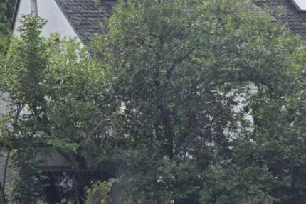 Kleiner versteckter Traum mit viel Grünfläche! Mehrfamilienhaus in 97074 Würzburg-Frauenland (ID 92) 14 zimmer