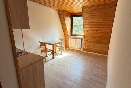 Wohnung Würzburg Dürrbachau - 2 Zimmer, 30 m&sup2;, 490&euro; | Angebot:26049430