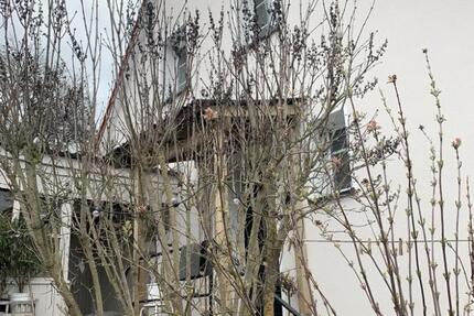 Kleines Häuschen in Waldnähe mit Garten und Garage-ohne Provision 4 zimmer