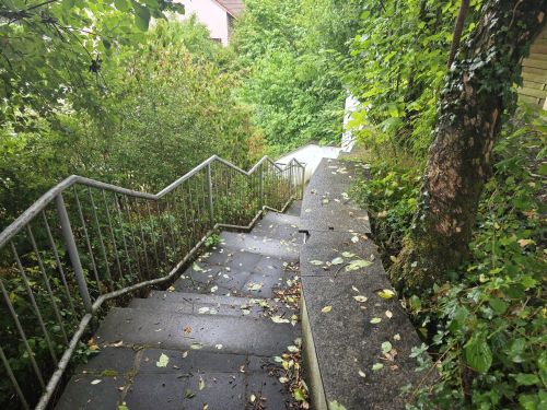 Kleiner versteckter Traum mit viel Grünfläche! Mehrfamilienhaus in 97074 Würzburg-Frauenland (ID 92) - Mehrfamilienhaus, Wohnhaus Würzburg Würzburg | Angebot:24110653