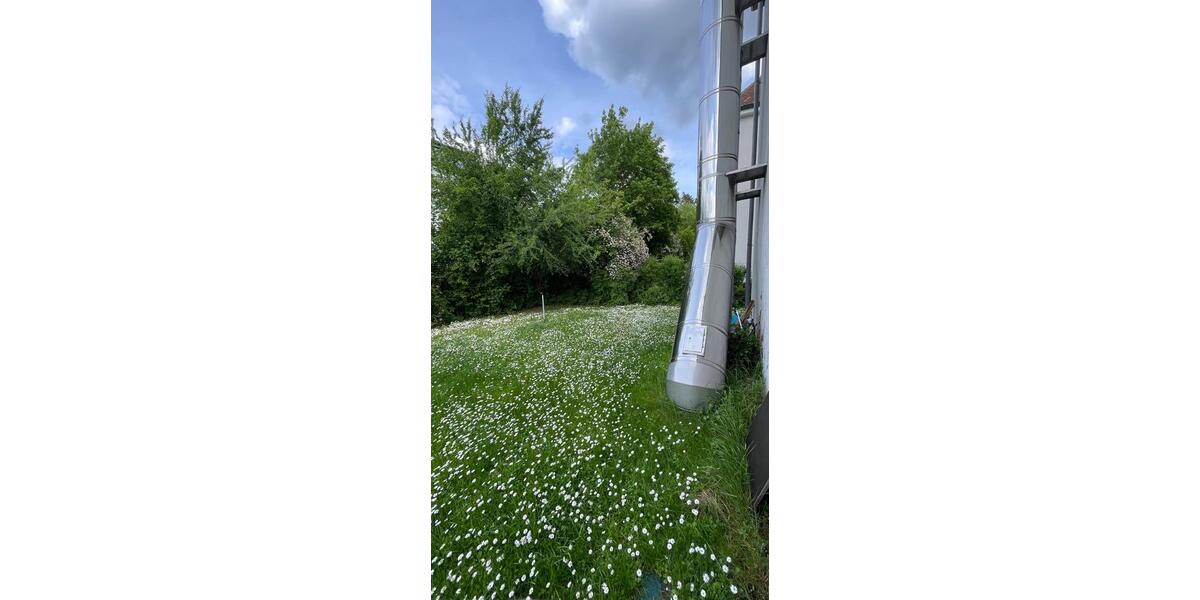 Etagenwohnung Würzburg Sanderau - 1 Zimmer, 23 m&sup2;, 690&euro; | Angebot:26613839