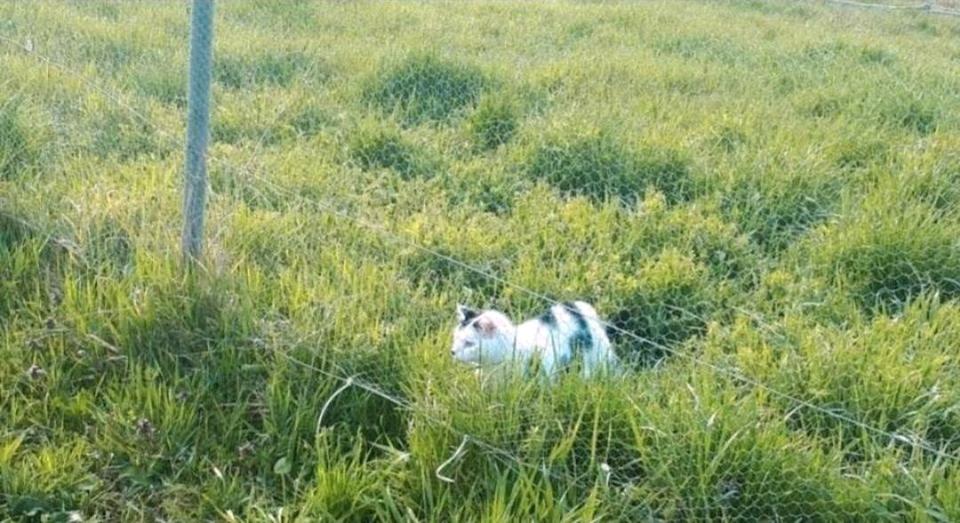 Etagenwohnung Albertshofen - 3 Zimmer, 180 m&sup2;, 530&euro; | Angebot:25143221