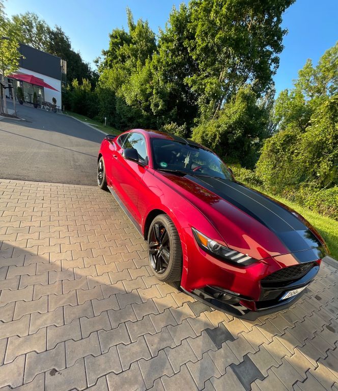 Mustang