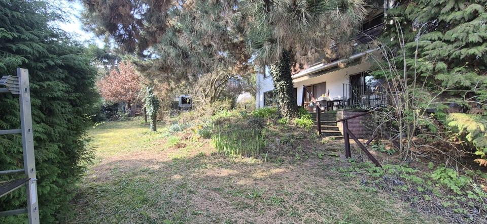 Mehrfamilienhaus, Wohnhaus Zellingen - 899.000&euro; | Angebot:25840281