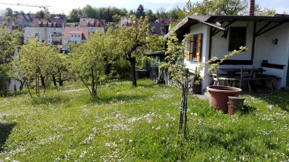 Grundstück Würzburg Lindleinsmühle - 25.000&euro; | Angebot:26047504