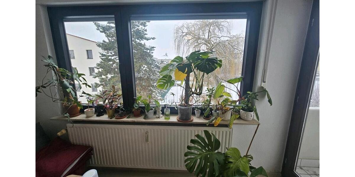 Etagenwohnung Würzburg Dürrbachau - 2 Zimmer, 42 m&sup2;, 830&euro; | Angebot:26670260