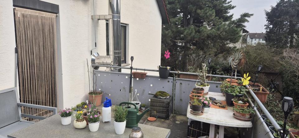 Mehrfamilienhaus, Wohnhaus Zellingen - 899.000&euro; | Angebot:25840281