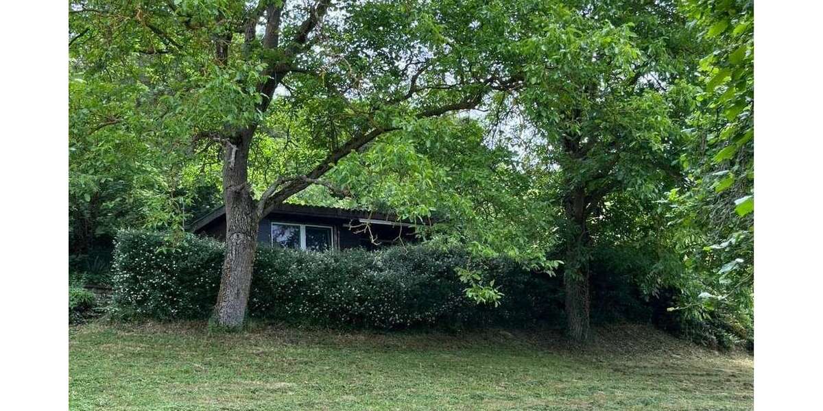 Grundstück Buchbrunn - 75.000&euro; | Angebot:26895015