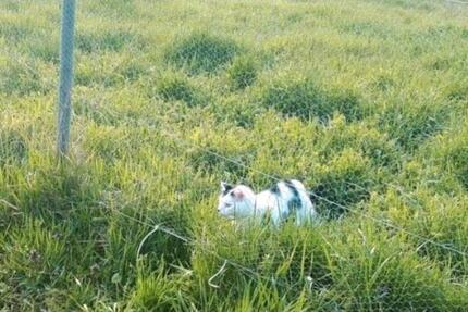 WG Zimmer in großem Fachwerkhaus 2 zimmer