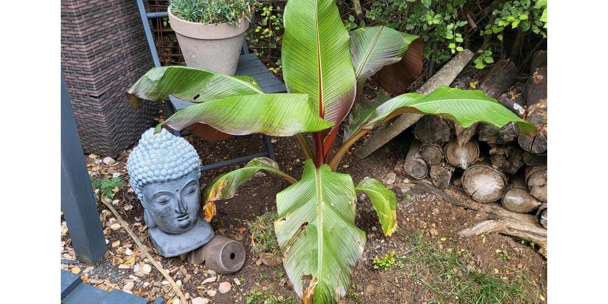 Etagenwohnung Würzburg Lindleinsmühle - 3 Zimmer, 80 m&sup2;, 1.600&euro; | Angebot:25158127