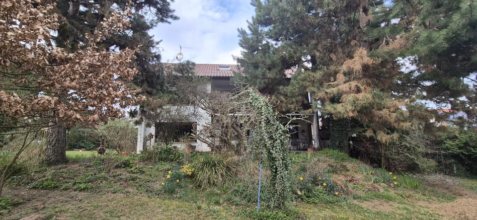 Mehrfamilienhaus, Wohnhaus Zellingen - 899.000&euro; | Angebot:25840281