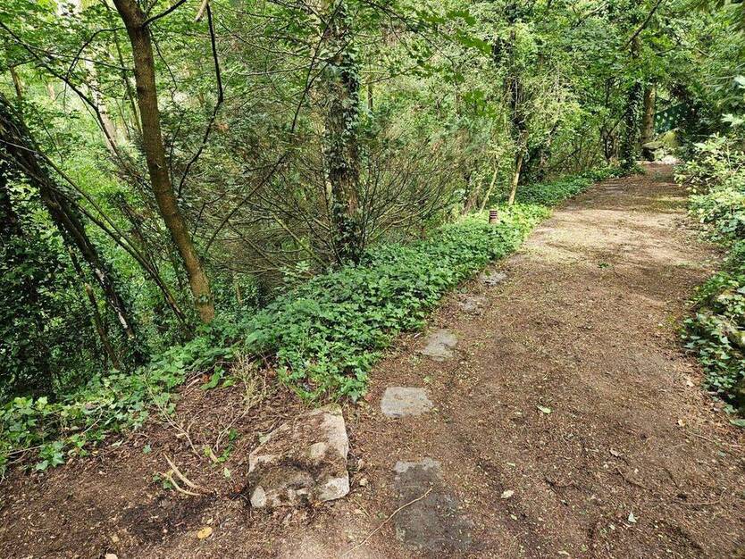 Einfamilienhaus mit Naturgarten und 2 Garagen in grüner und ruhiger Wohnlage zu verkaufen