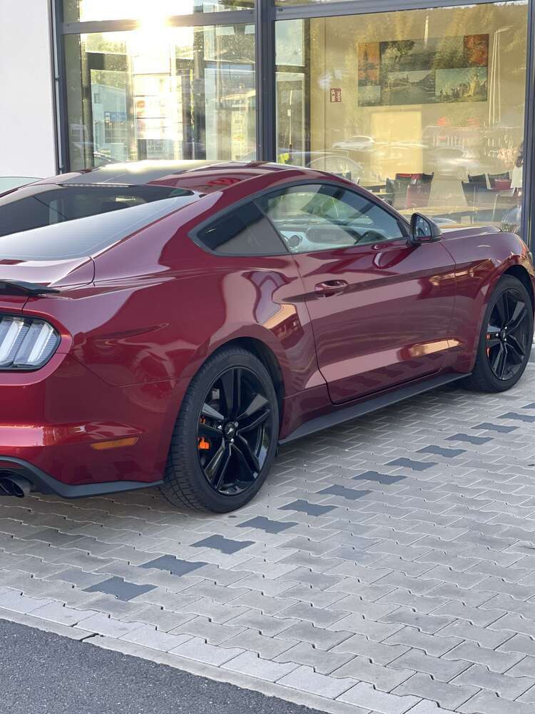 Mustang