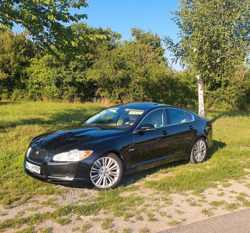 XF