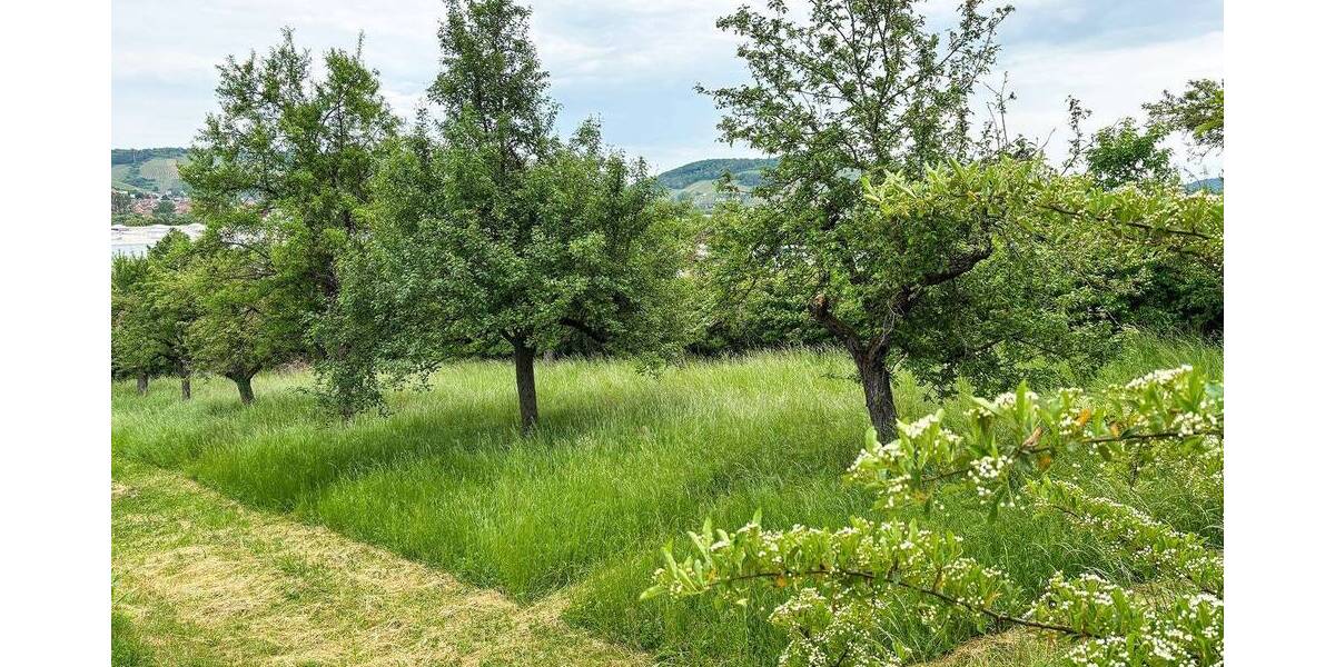 Grundstück Würzburg Heidingsfeld - 340.000&euro; | Angebot:26202393