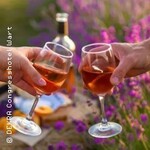 Wine & Beats: Rosé Edition