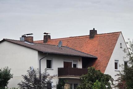 Saniertes Zweifamilienhaus - Ruheoase für die ganze Familie zimmer