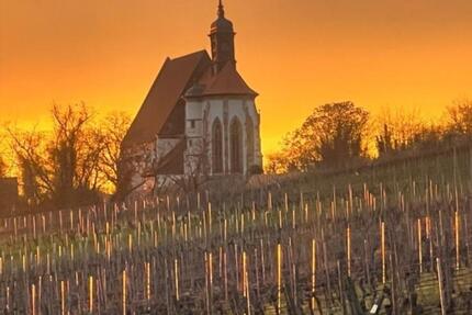 Wohnung Volkach - 4 Zimmer, 165 m&sup2;, 1.295&euro; | Angebot:25350063