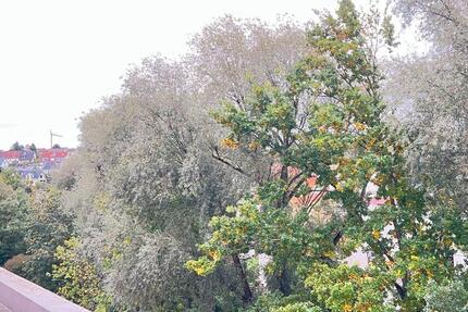 Wunderschöne Vierzimmerwohnung Würzburg 4 zimmer