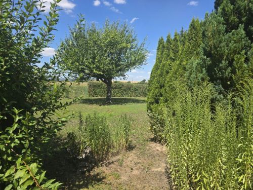 Einfamilienhaus in 97534 Waigolshausen (ID 10225) - Einfamilienhaus Waigolshausen Waigolshausen | Angebot:27296184