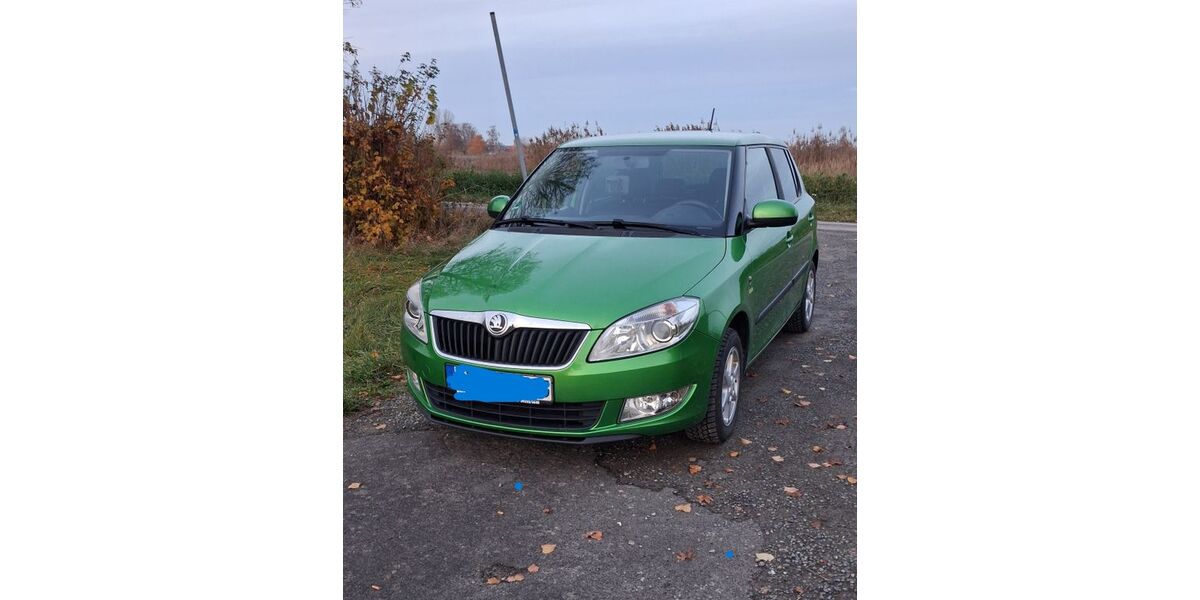 Skoda Fabia 151.000 km 4.990 € Schwarzach 97359