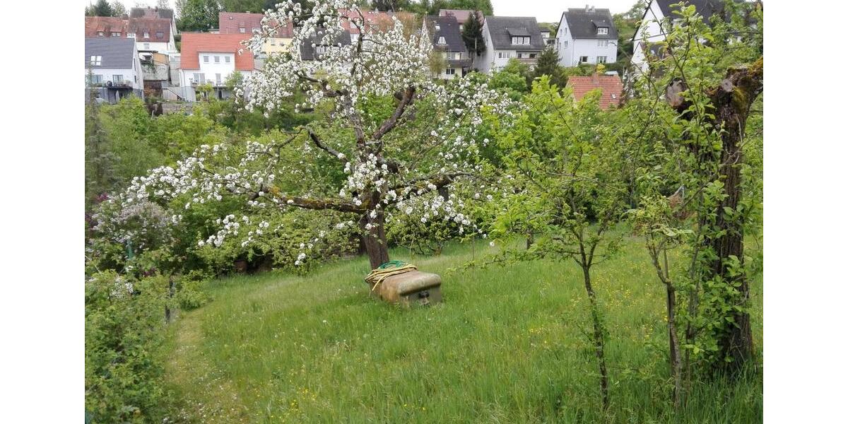 Grundstück Würzburg Lindleinsmühle - 25.000&euro; | Angebot:26047504