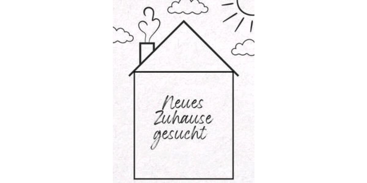 Etagenwohnung Würzburg Frauenland - 4 Zimmer, 100 m&sup2;, 1.000&euro; | Angebot:24767935