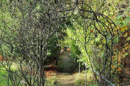 Seltenes großes Freizeitgrundstück mit Wochenendhaus und Obstbäumen im Waldgebiet zimmer