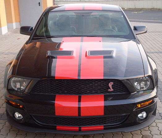 Mustang
