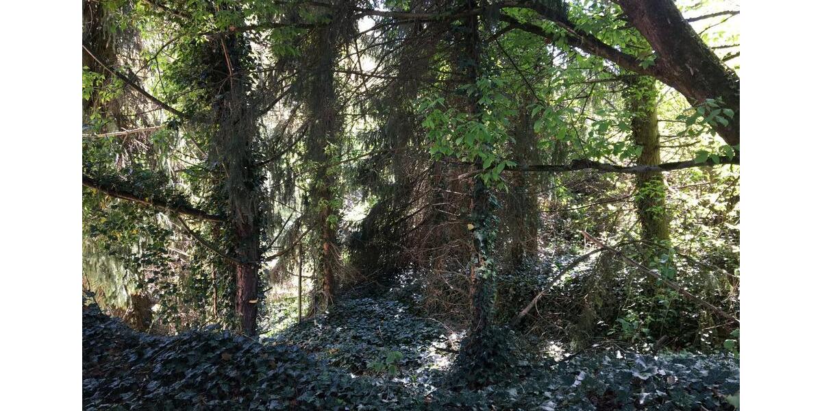 Maisonettenwohnung Retzstadt - 3.5 Zimmer, 150 m&sup2;, 1.250&euro; | Angebot:24876205