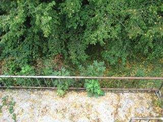 Mehrfamilienhaus, Wohnhaus Würzburg Frauenland - 7 Zimmer, 155 m&sup2;, 695.000&euro; | Angebot:25694572