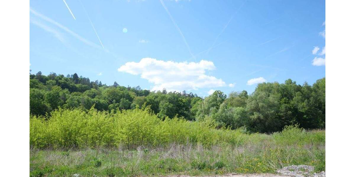 Doppelhaushälfte Marktheidenfeld - 4 Zimmer, 130 m&sup2;, 484.900&euro; | Angebot:25673797